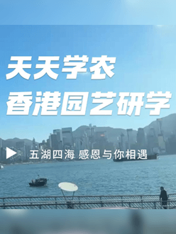 与香港园艺学会联合举办香港园艺研学，专业园境师带队讲解。